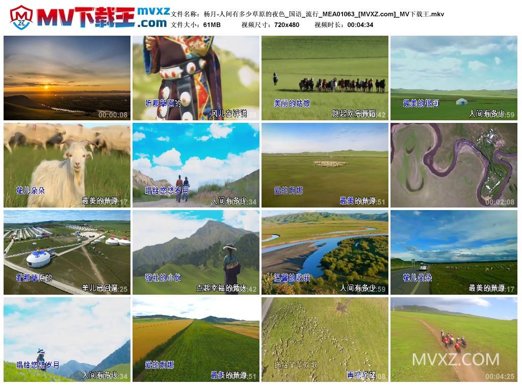 杨月-人间有多少草原的夜色_国语_流行_MEA01063